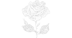 Rose Overlay